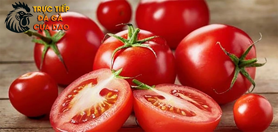 Hướng Dẫn Cách Bổ Sung Cà Chua Vào Khẩu Phần Ăn Của Gà Chọi TRUCTIEPDAGACUADAO
