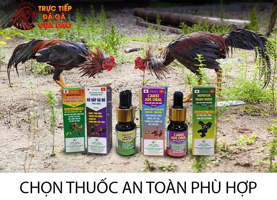 Cần Chọn Thuốc An Toàn & Phù Hợp TRUCTIEPDAGACUADAO