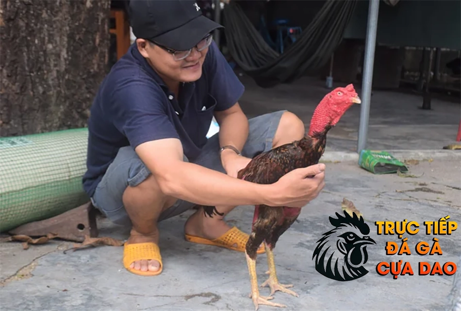 Cách chuyển vùng an toàn - Giảm thiểu rủi ro ngã nước TRUCTIEPDAGACUADAO