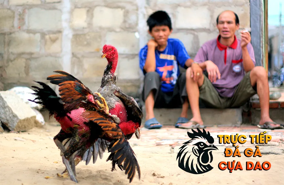 Những đặc điểm và khả năng chiến đấu phi thường TRUCTIEPDAGACUADAO