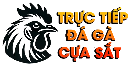 TRỰC TIẾP ĐÁ GÀ CỰA SẮT THOMO, CAMPUCHIA HÔM NAY